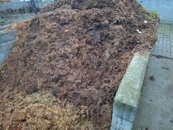 Paardenmest met gehakseld tarwestro