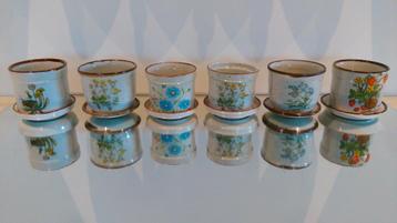 6 vintage bloempotten porselein botanica met onderschaal