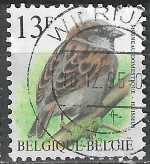 Belgie 1994 - Yvert/OBP 2533 - Buzin - Huismus (ST), Timbres & Monnaies, Timbres | Europe | Belgique, Affranchi, Véhicules, Envoi
