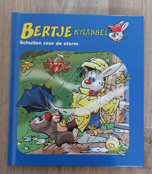 Bertje Knabbel - schuilen voor de storm, Livres, Livres pour enfants | 4 ans et plus, Comme neuf, Non-fiction, 4 ans, Garçon ou Fille