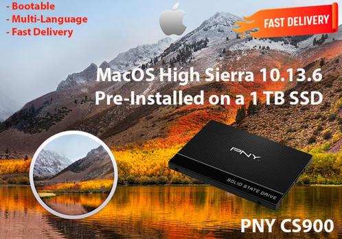 High Sierra 10.13.6 Pré-Installé sur un SSD PNY de 1 To OSX, Informatique & Logiciels, Systèmes d'exploitation, Neuf, MacOS, Envoi