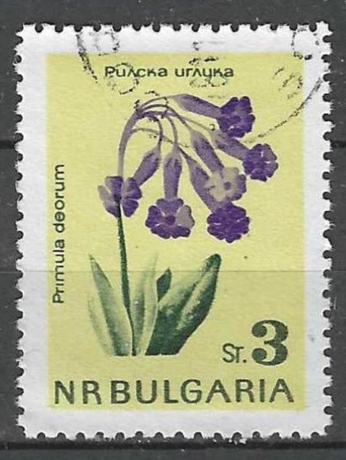 Bulgarije 1963 - Yvert 1210 - Rila sleutelbloem (ST), Postzegels en Munten, Postzegels | Europa | Overig, Gestempeld, Bulgarije