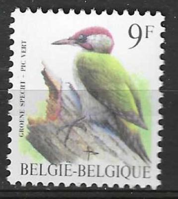 Belgie 1998 - Yvert 2778 - Buzin - Groene Specht (PF)