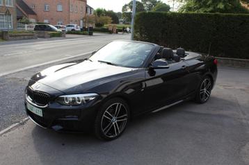 BMW 218  218iA M sport , harman kardon ,gps ,pdc