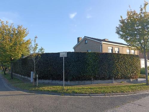 Maison, Immo, Maisons à vendre, Province de Flandre-Occidentale, 200 à 500 m², Maison de coin, Ventes sans courtier