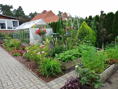 ️ Tuinverzorging voor een Prachtige Buitenruimte!, Services & Professionnels, Jardiniers & Paveurs, Construction de jardin ou d'étang