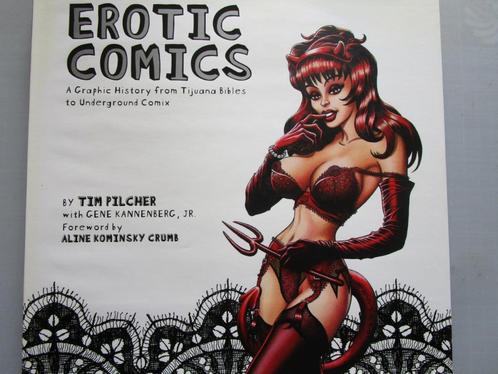 EROTIC COMICS, Livres, BD | Comics, Utilisé, Comics, Enlèvement ou Envoi