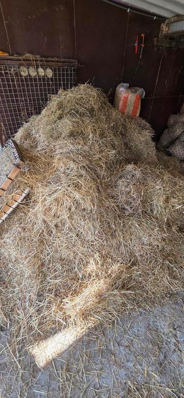 Gratis los hooi af te halen