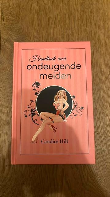 C. Hill - Handboek voor ondeugende meiden