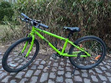 Lichtgewicht Frog 62 fiets (24inch)