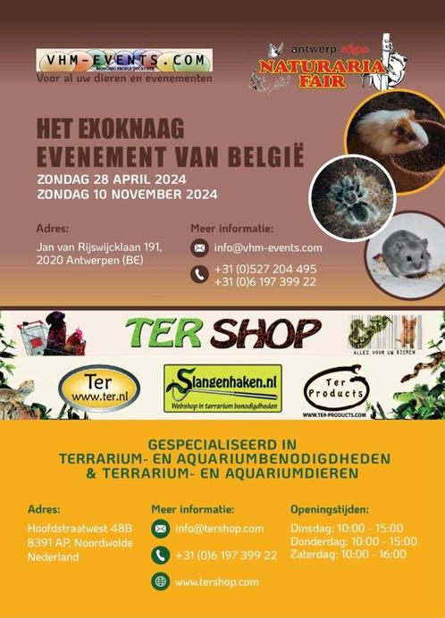 Naturaria Exoknaag Fair Antwerpen 28-04-2024, Animaux & Accessoires, Rongeurs