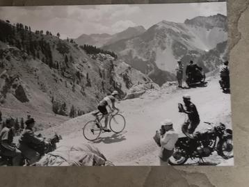ancienne photo de presse cycliste