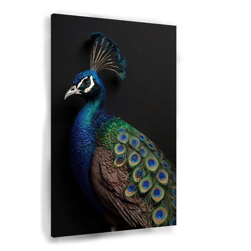 Belle toile de paon au plumage coloré 60x90cm - 18, Maison & Meubles, Accessoires pour la Maison | Décorations murale, Neuf, Envoi