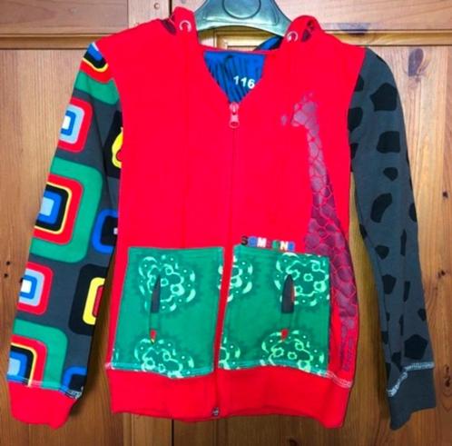 NIEUW veelkleurige hoodie van Someone (maat 116), Kinderen en Baby's, Kinderkleding | Maat 116, Zo goed als nieuw, Meisje, Trui of Vest