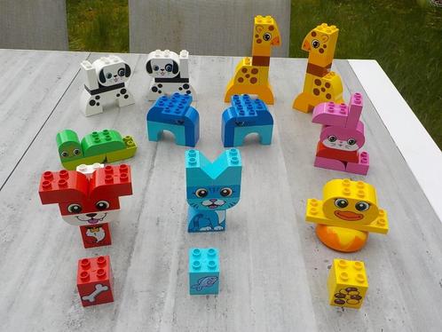 Leuke Lego DUPLO Dieren 10858 10573 compleet en meer, Kinderen en Baby's, Speelgoed | Duplo en Lego, Gebruikt, Duplo, Complete set