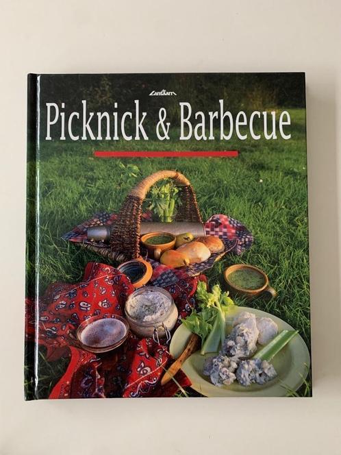 Picknick & barbecue, de lantaarn dit boek bevat een schat aa, Livres, Livres de cuisine, Neuf, Enlèvement ou Envoi