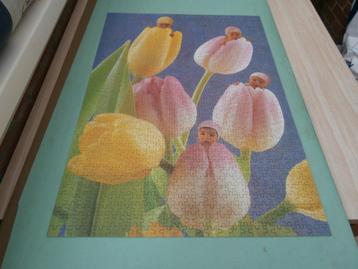 puzzel 900 stuks -anne geddes-tulpen met kinderhoofdjes-