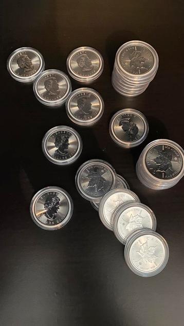 Maple Leaf 2018 Silver tube met 25 munten 