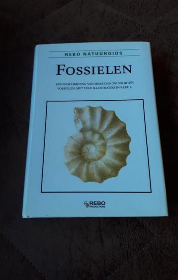 Rebo Natuurgids - Fossielen - Rudolf Prokop - 224 blz -NIEUW