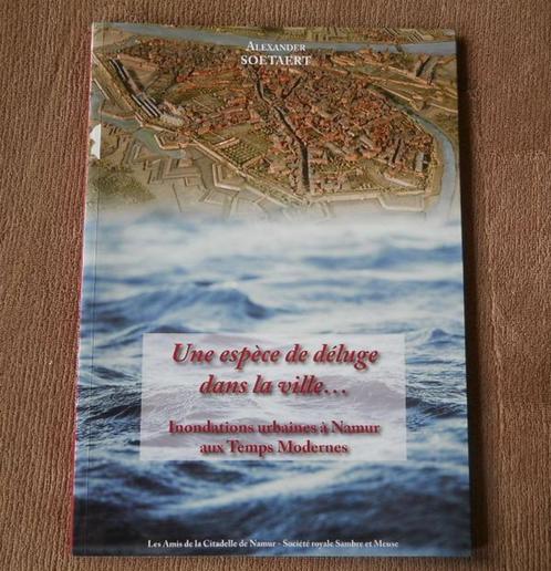 Une espèce de déluge dans la ville ... Inondations à Namur, Livres, Histoire nationale, Enlèvement ou Envoi