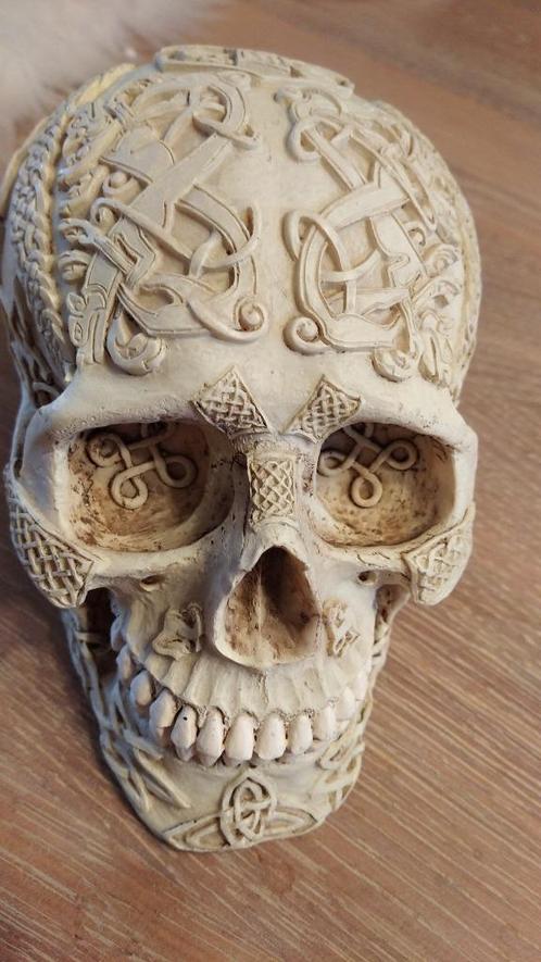 schedel is prachtig versierd met uitgesneden barokke en Kelt, Antiquités & Art, Art | Sculptures & Bois, Enlèvement