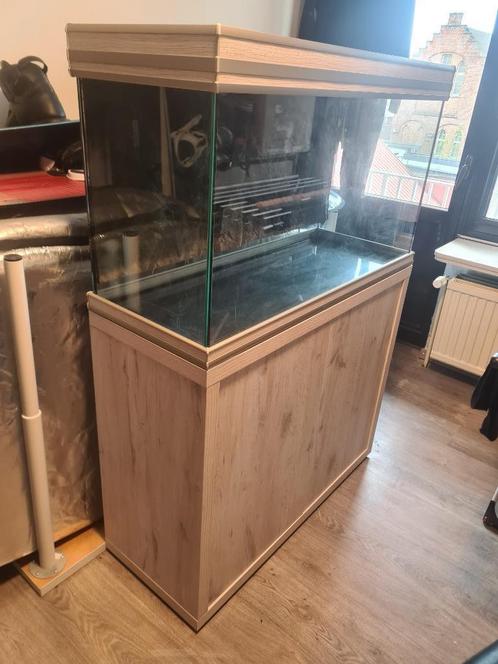 Aquatlantis Fusion 100 avec armoire, Animaux & Accessoires, Poissons | Aquariums & Accessoires, Utilisé, Aquarium vide, Enlèvement