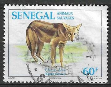 Senegal 1994 - Yvert 1077 - Gouden Jakhals 60 F. (ST)