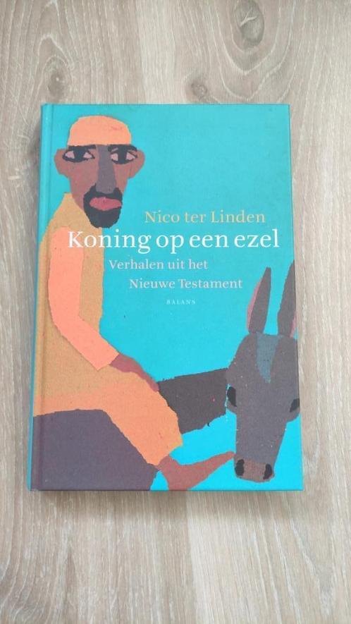 Koning op een ezel - Nico ter Linden, Livres, Religion & Théologie, Comme neuf, Christianisme | Catholique, Christianisme | Protestants