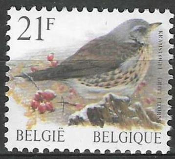 Belgie 1998 - Yvert/OBP 2792 - Buzin - Kramsvogel (PF)