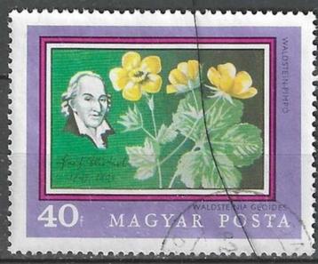 Hongarije 1971 - Yvert 2177 - Waldsteinia geoides (ST)