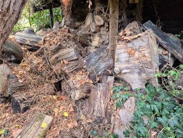 Gratis droog brandhout