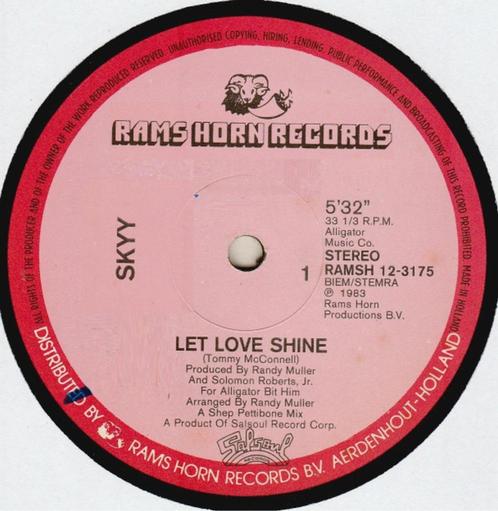Skyy - Let Love Shine (12") maxi, CD & DVD, Vinyles | R&B & Soul, Utilisé, R&B, 1980 à 2000, 12 pouces, Enlèvement ou Envoi