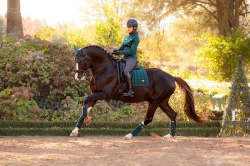 LeMieux Loire Spruce dressuur dekje GRATIS VERZENDING, Animaux & Accessoires, Chevaux & Poneys | Couvertures & Couvre-reins, Neuf