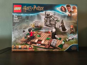 Lego 75965 The Rise of Voldemort