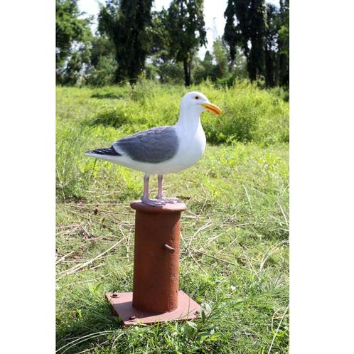 Seagull on Mooring Bollard – Zeemeeuw Hoogte 78 cm, Verzamelen, Dierenverzamelingen, Nieuw, Ophalen of Verzenden