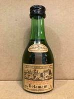 Delamain - Cognac pale & dry - Mignonnette d'alcool - France, Collections, Vins, Comme neuf, Pleine, Autres types, France