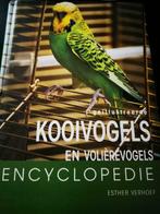 Kooi vogels en volierevogels enceclopedie esther verhoef, Comme neuf, Enlèvement ou Envoi, Esther verhoef, Oiseaux