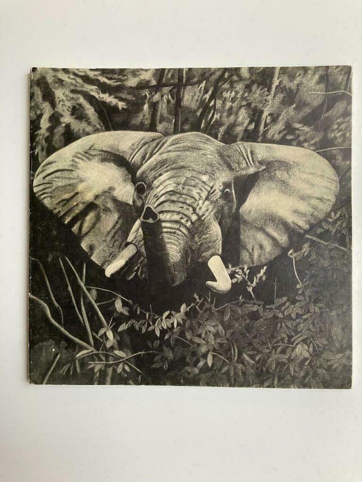 Segui, fusains sur toile - Galerie Claude Bernard, Livres, Art & Culture | Arts plastiques, Enlèvement ou Envoi