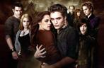 )))  Bluray  Twilight //  L' intégrale 5 Films   (((, Cd's en Dvd's, Blu-ray, Ophalen of Verzenden, Avontuur