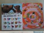 livre éducatif : Mon grand alphabet - Larousse, Ophalen of Verzenden, Zo goed als nieuw