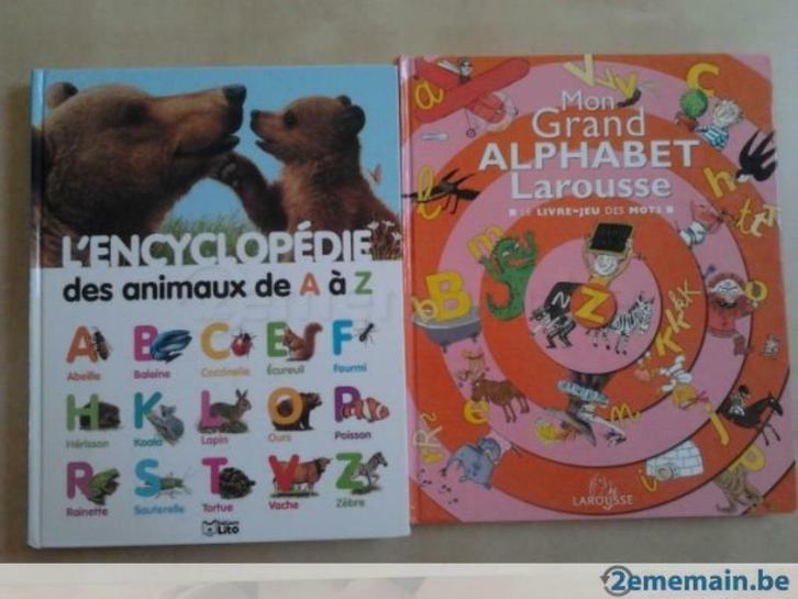 livre éducatif : Mon grand alphabet - Larousse, Boeken, Kinderboeken | Kleuters, Zo goed als nieuw, Ophalen of Verzenden