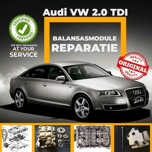 Oliepomp/balansasmodule Audi VW 2.0 TDI reparatie, Auto-onderdelen, Motor en Toebehoren, Audi, Skoda, Gebruikt, Ophalen of Verzenden