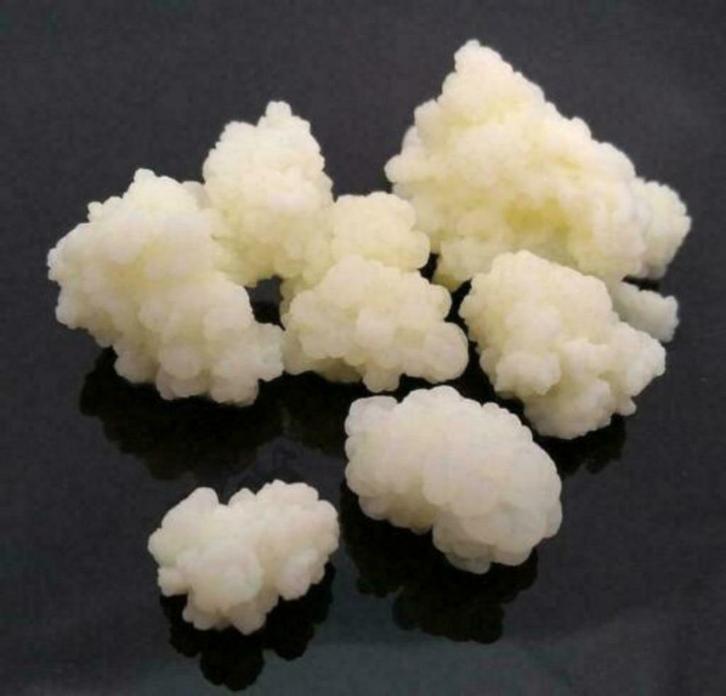 35 gr verse melkkefir, Diversen, Levensmiddelen, Ophalen of Verzenden
