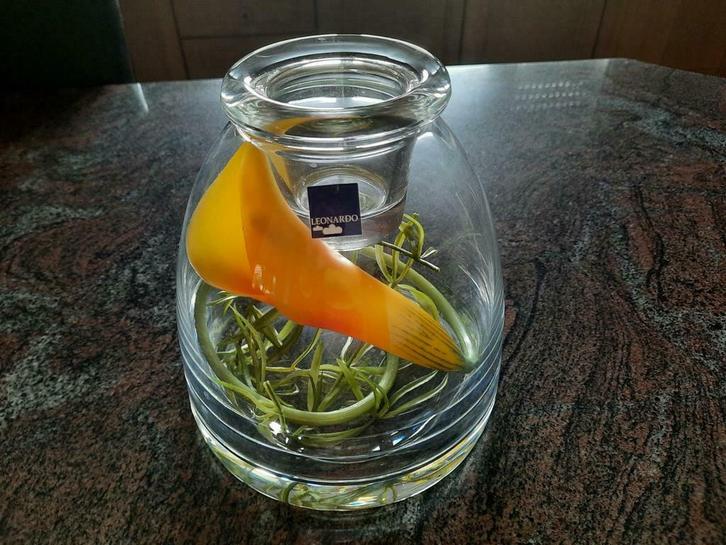 vase décoratif avec photophore, Leonardo +3FREE vases, Maison & Meubles, Accessoires pour la Maison | Autre, Neuf, Enlèvement ou Envoi