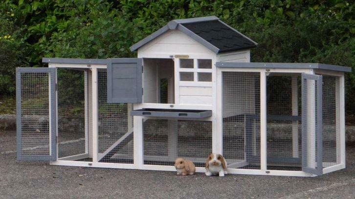 Poulailler abri poule clapier XXL lapin rongeur caille NEUF, Animaux & Accessoires, Rongeurs & Lapins | Accessoires, Neuf, Envoi