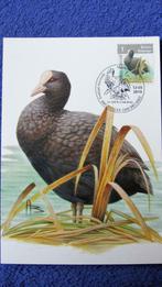 FIRST DAY OP KAART- THEMA VOGELS VAN BUZIN- DE MEERKOET., Collections, Enlèvement ou Envoi, 1980 à nos jours, Affranchie, Nature