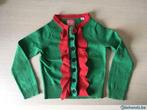 Meisje - maat 104 - Zoë Loveborn groene vest, Fille, Pull ou Veste, Utilisé
