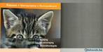 Katten rassen verzorging gezondheid Ireen Niessen 288 blz, Nieuw