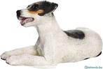design toscano CF3268 Jack Russell puppy beeld kunsthars, Ophalen of Verzenden