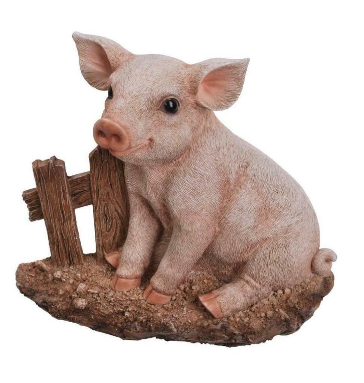 Vivid Arts Varken muur Plaque 20,7 x 6,8 x 19,4 cm, Antiek en Kunst, Kunst | Beelden en Houtsnijwerken, Ophalen of Verzenden